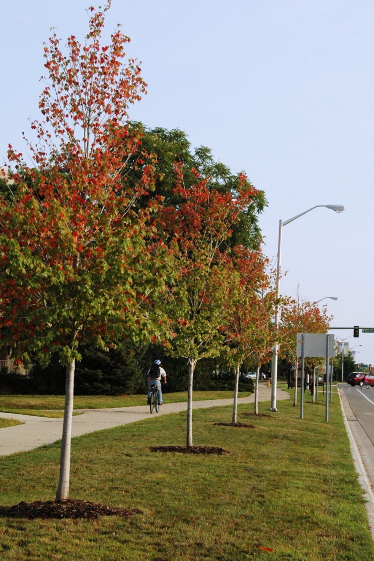 fall color3_bertcregg